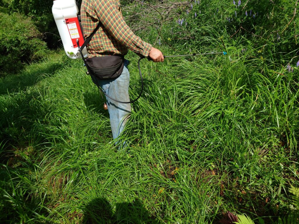 除草剤を散布