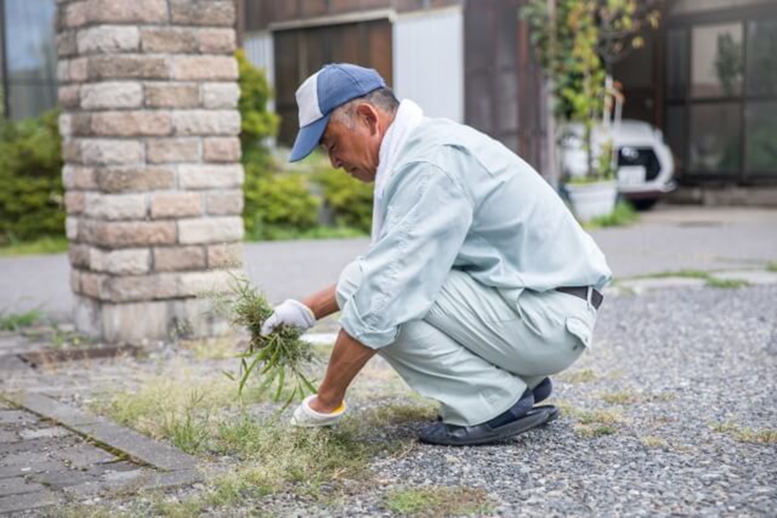 草むしり