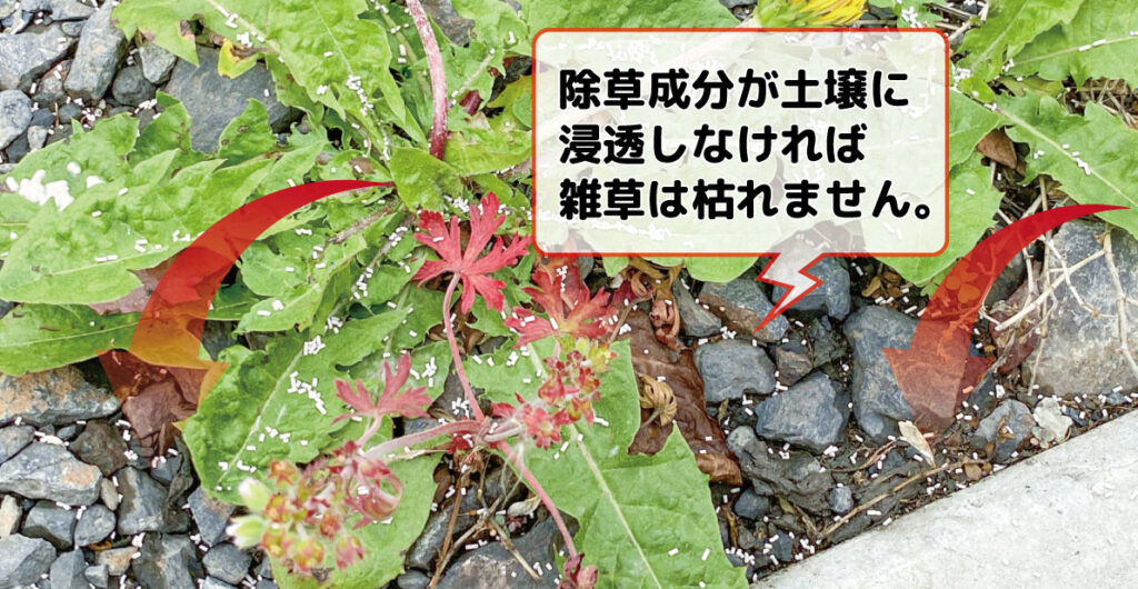 砂利が敷き詰められている場所や落葉などがある状態に撒くと除草剤の効果が得られ難い