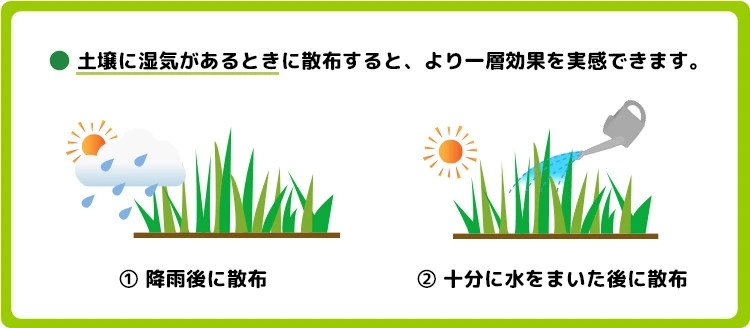 粒剤タイプは土壌が湿っているタイミングで散布する