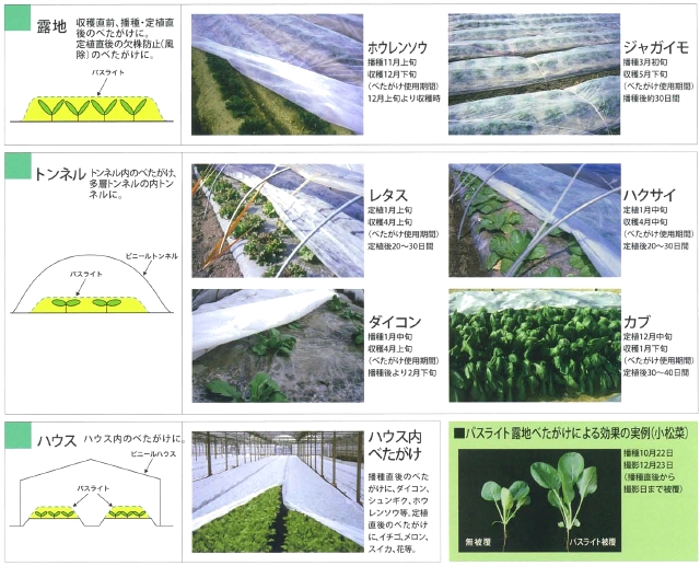 2022秋冬新作 農家のお店おてんとさんユニチカ パスライト 幅360cm×長さ200m 2本セット