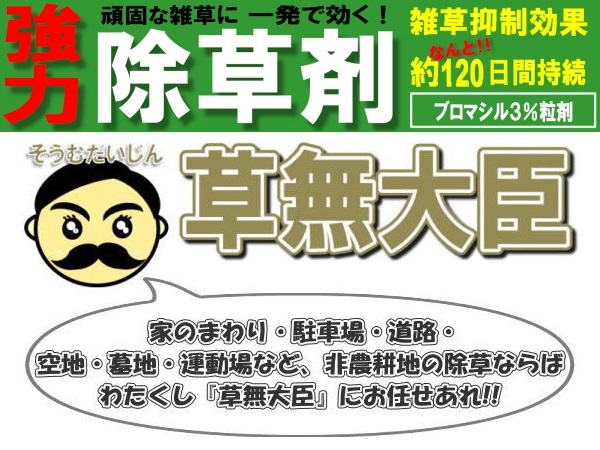 非農耕地用除草剤 草無大臣 1kg 農家のお店おてんとさんの通販ページ