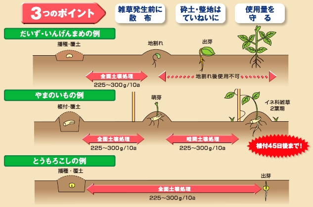 コダールS水和剤の3つのポイント