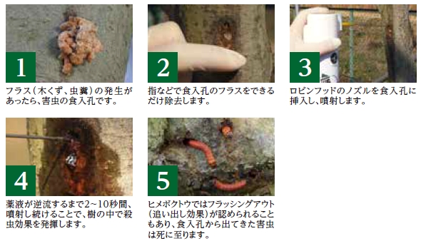 ロビンフッド処理方法