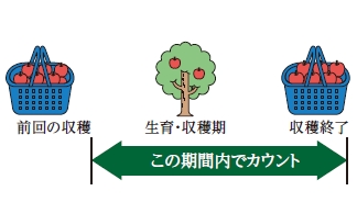 使用回数の数え方