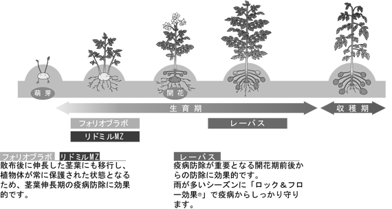 ばれいしょにおける「疫病」防除体系例