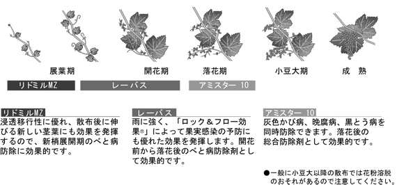 ぶどうにおける「べと病」防除体系例