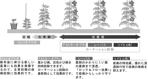 トマトにおける「疫病」防除体系例