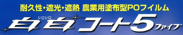 白白コート5ファイブ