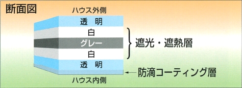 白白コート5ファイブの断面図