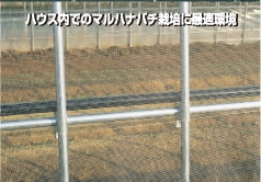 サンサンはちネットのイメージ