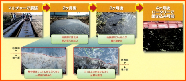 激安先着 12本 生分解マルチ 半透明 サンバイオSN 幅 95cm × 200m 無孔 マルチ カ施 代引不可 discoversvg.com
