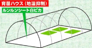 育苗ハウス(地温抑制)使用例