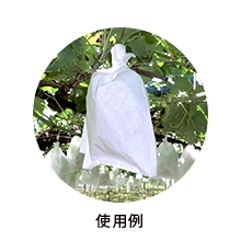 果実袋使用例