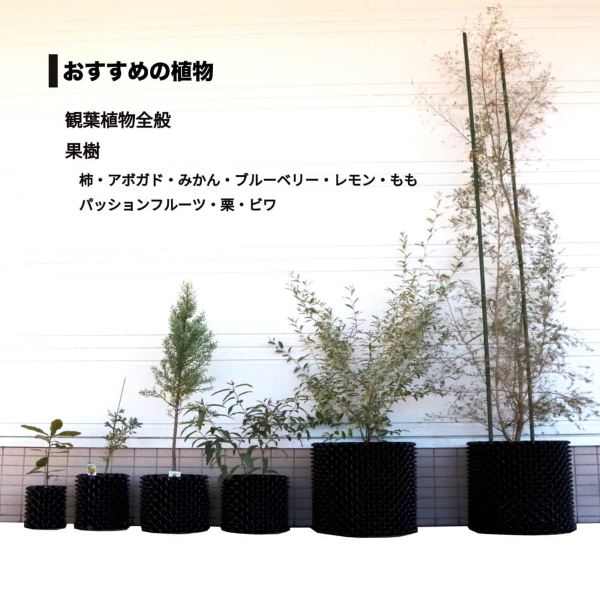 ルートプラスポット