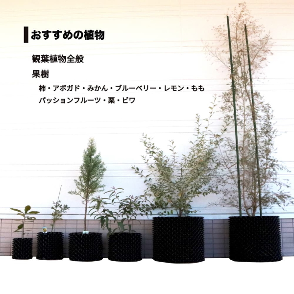 ルートプラスポット GS-AP550M 95L 果樹 観葉植物 多肉植物 緑化樹栽培 根巻き防止 エアープルーニングコンテナ 鉢 南栄工業  ルートプラスポット 農家のお店おてんとさん