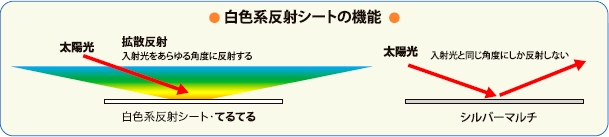 ワリフてるてるの機能説明