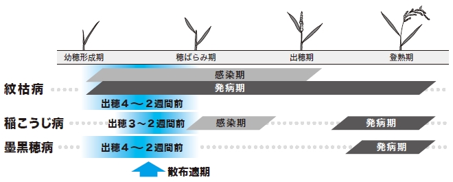 モンガリット1キロ粒剤の使用適期