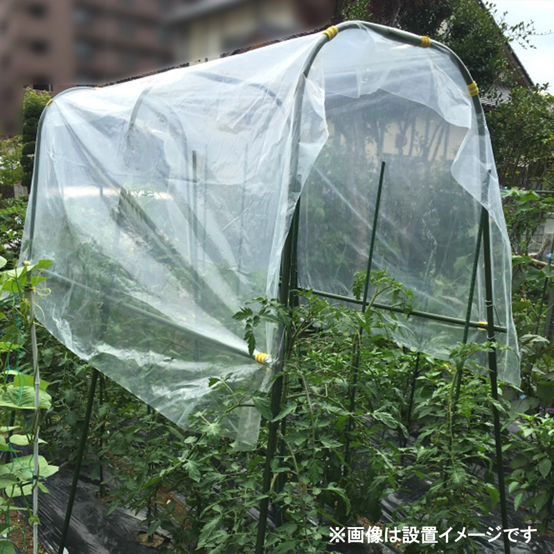 菜園用 雨よけセットA 1m×2.1m トマト 野菜 雨よけシートセット（離島・北海道・沖縄発送不可） 支柱 農家のお店おてんとさん