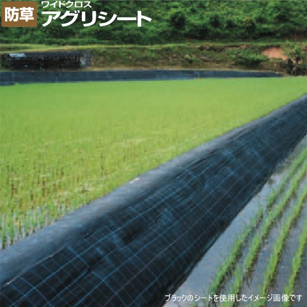 日本ワイドクロス アグリシート BG1515 (防草シート) グリーン 幅1m×長さ100m アグリシート 農家のお店おてんとさん