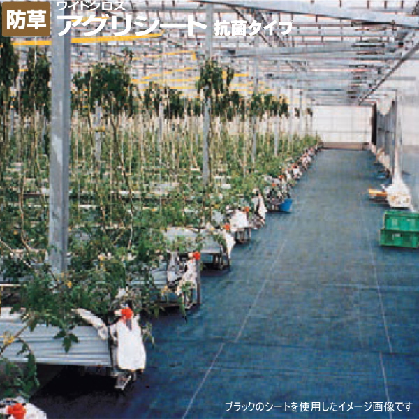 日本ワイドクロス 抗菌アグリシート BK1515 (防草シート) 黒 幅1m×長さ100m 抗菌アグリシート 農家のお店おてんとさん