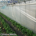 タキロンシーアイ　独立気泡構造農業用PO　スカイコート5エアプラス　幅400cm×長さ100m