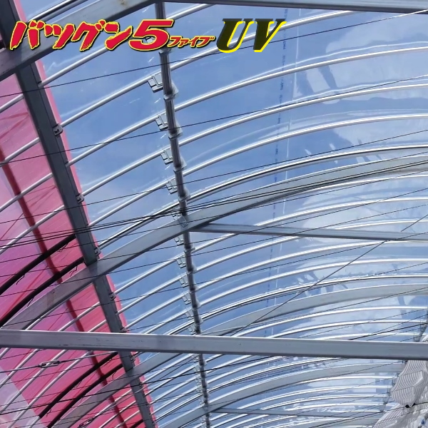 女性に人気！ 農家のお店おてんとさんタキロンシーアイ 独立気泡構造農業用PO スカイコート5エアプラス 幅270cm×長さ100m 