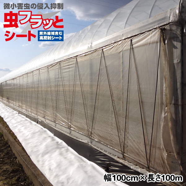 KOIZUMI (小泉製麻) 虫フラッとシート 幅100cm×長さ100m 紫外線域含む高反射シート 小泉製麻 農家のお店おてんとさん
