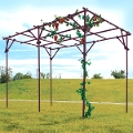 DAIM　ガーデンアグリパイプ　果樹棚セット　幅2m×奥行3m×高さ2m　組立キット品