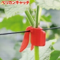ペリカンキャッチ　PC-R500　赤　500個入り　ダブルフック式　 茎誘引 保持具 家庭菜園 園芸資材