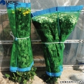 宇部エクシモ　マキマキ　花卉用　90cm×150cm　10枚入　ダンポール使用　鮮度を保つ包装ネット