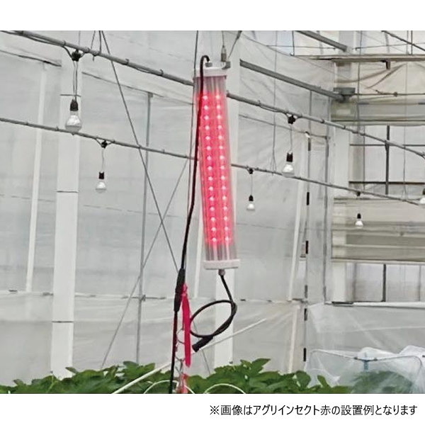 日栄インテック アグリインセクト 緑 防虫用LED 夜蛾防除 減農薬 その他機械 農家のお店おてんとさん