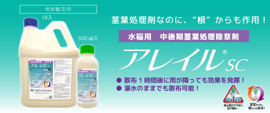 アレイル