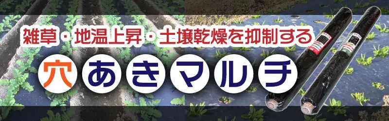 牧草サイレージ
