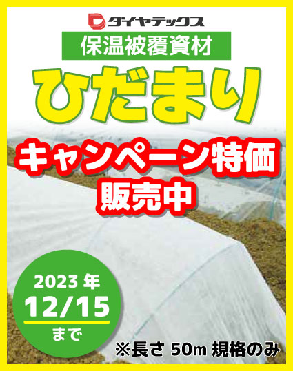 ひだまり特価