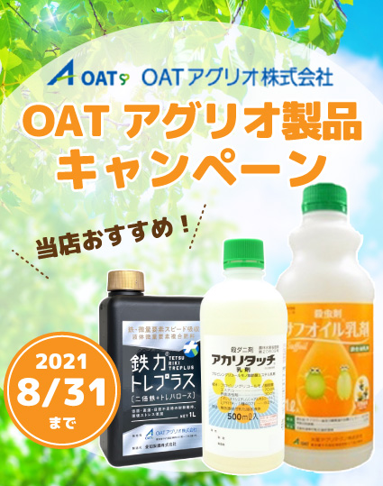 OATキャンペーン