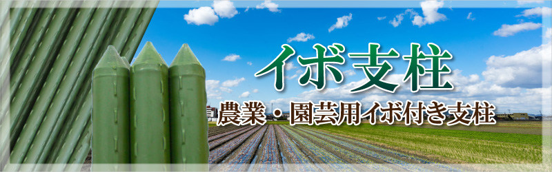 イボ支柱